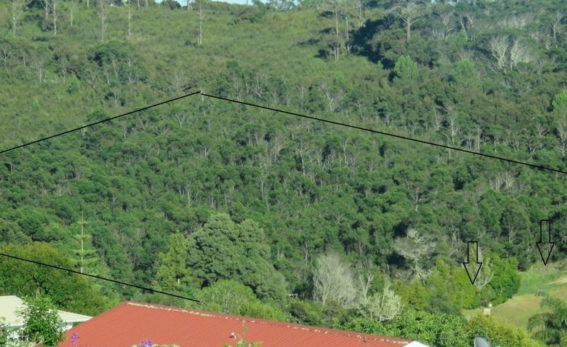  at 15 Richmond Road, Mangonui