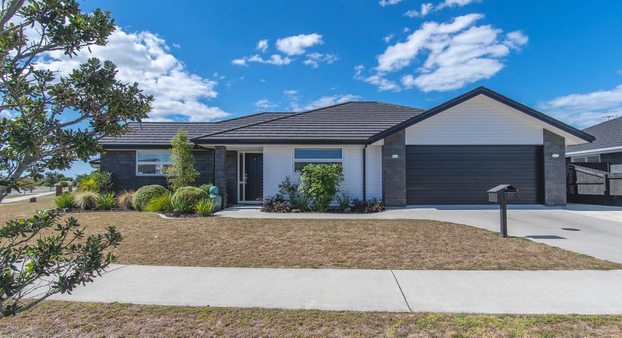  at 17 Blanche Road, Papamoa Beach, Papamoa