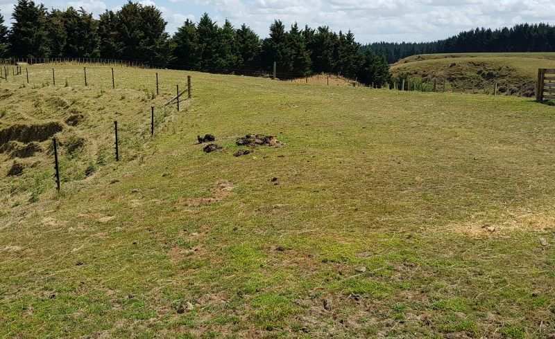  at 29 Angus Lane, Tokomaru, Palmerston North