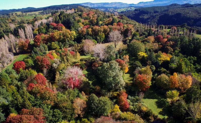  at 582 Old Coach Road, TE POHUE, NAPIER