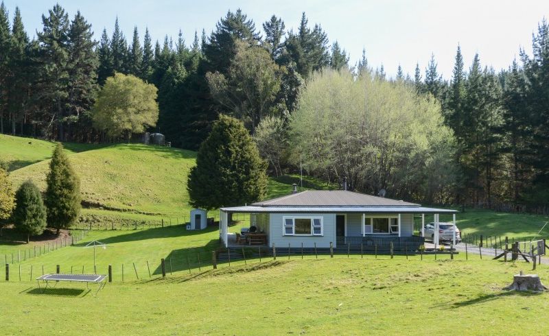  at 1238 Ellis Wallace Road, Te Pohue