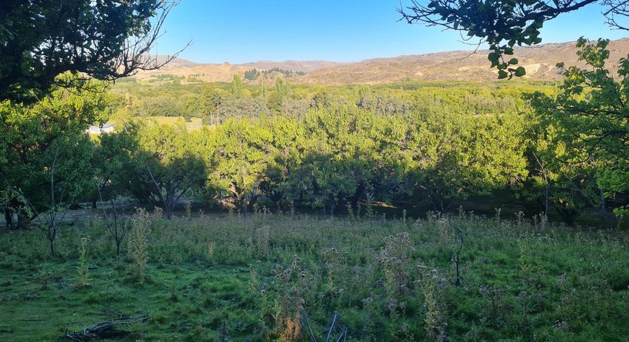  at 219 Manuherikia Road, Alexandra, Central Otago, Otago