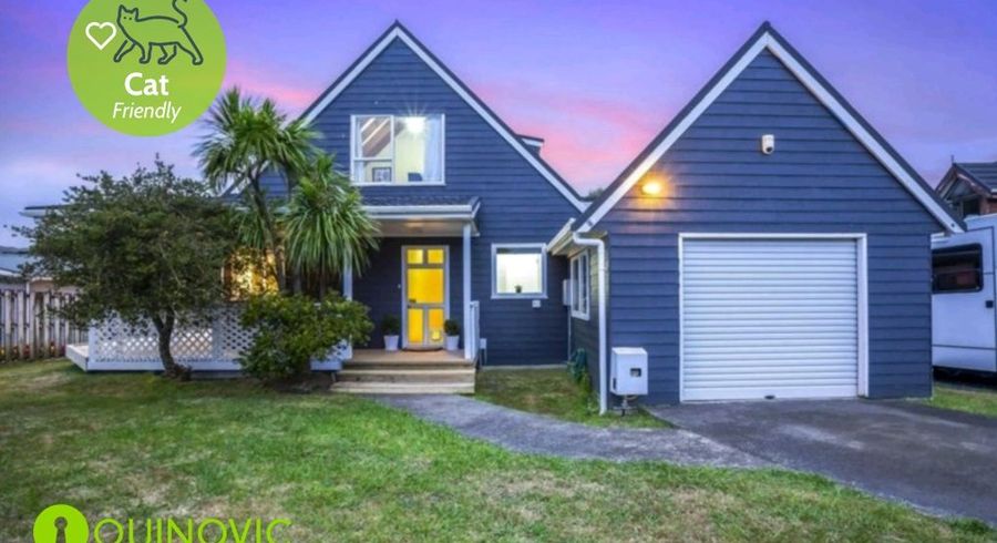  at 14 Trispen Place, Camborne, Porirua, Wellington