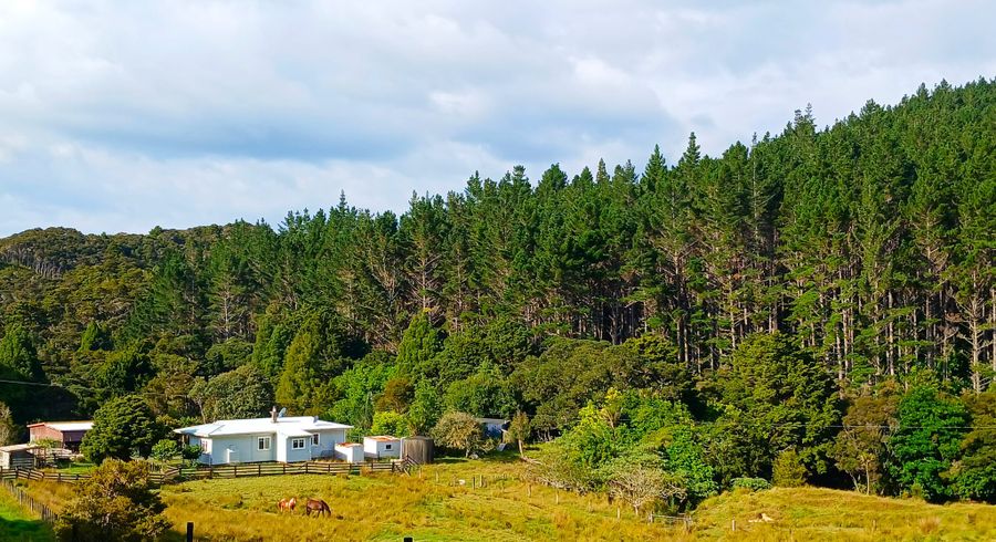  at 153 Champion Road, Kaingaroa, Kaitaia