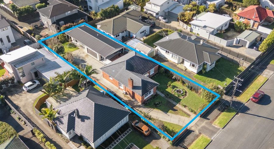 at 19 Alford Street, Waterview, Auckland City, Auckland