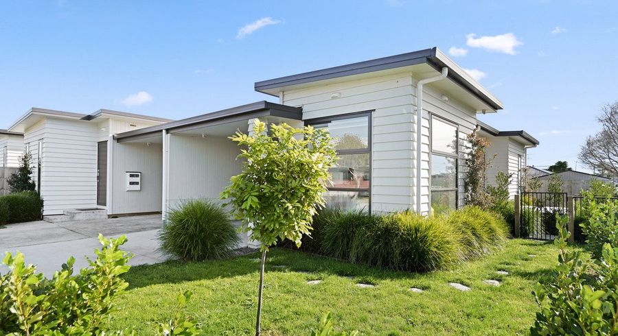  at 1/2 Searancke Place, Fairfield, Hamilton, Waikato