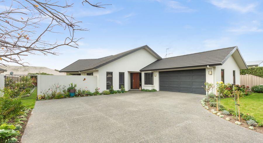  at 17 Merlot Drive, Greenmeadows, Napier