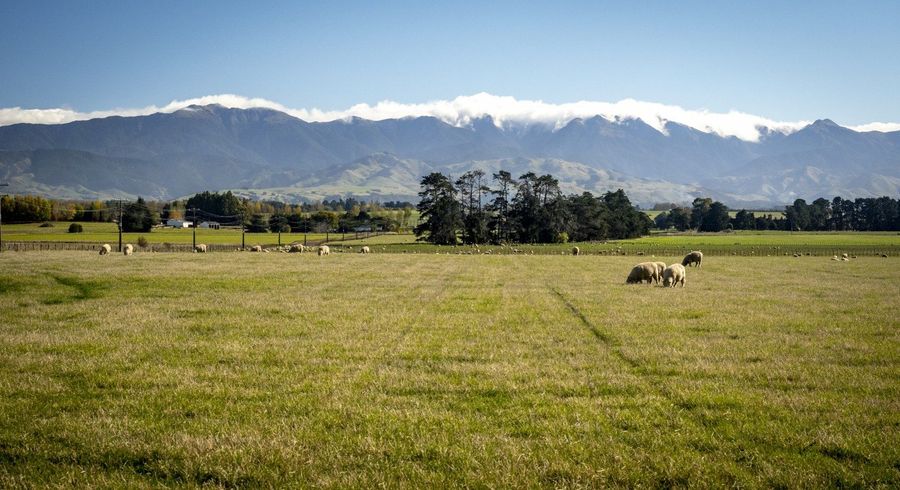  at 593 East Taratahi Road, East Taratahi
