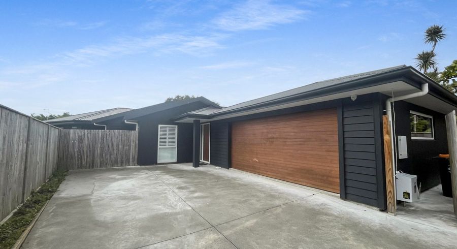  at 68b Manson Street, Terrace End, Palmerston North, Manawatu / Whanganui