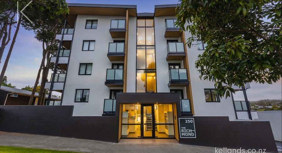  at 250 Richmond Road, Grey Lynn, Auckland City, Auckland