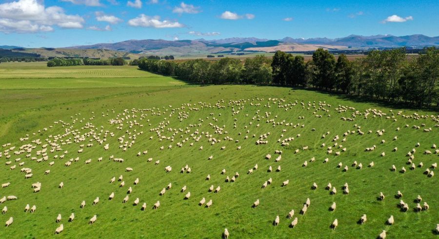  at 109 Affleck Road, Dipton West, Southland, Southland
