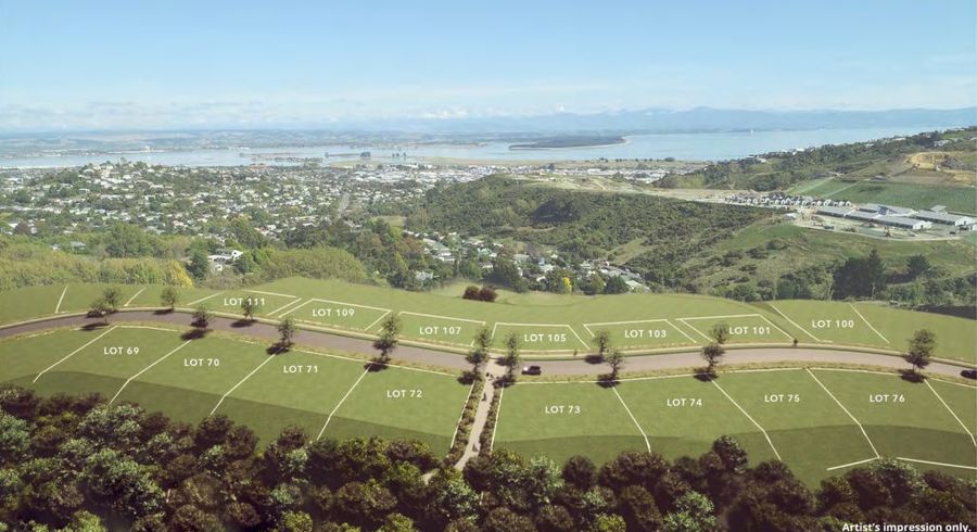  at 15 Vista Drive, Bishopdale, Nelson