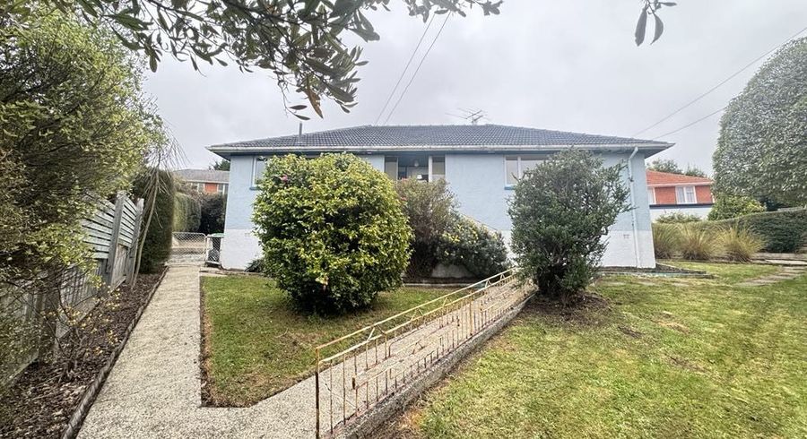  at 195 Brockville Road, Brockville, Dunedin, Otago