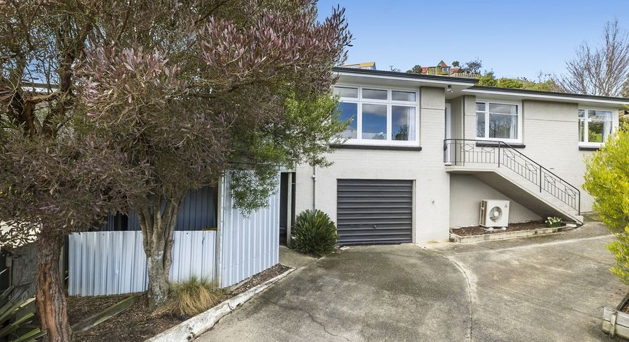  at 44 Roy Crescent, Concord, Dunedin
