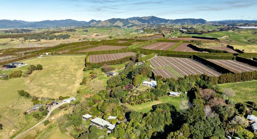  at 8a Thompson Road, Opotiki, Opotiki, Bay Of Plenty