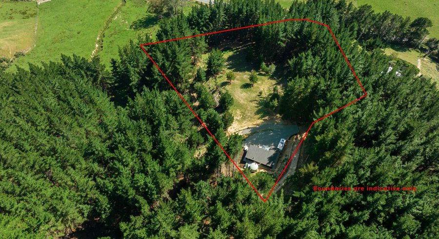  at 2135 State Highway 6, Okaramio, Havelock