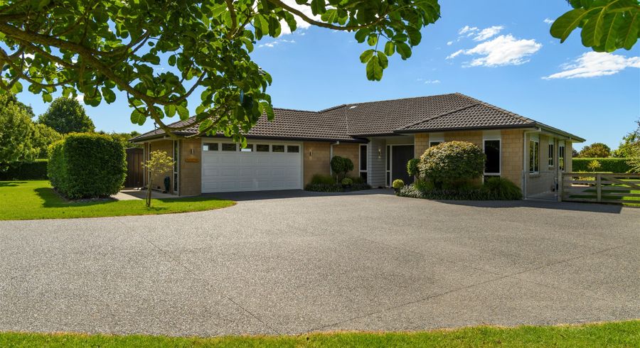  at 8 Nga Parae Road, Tauranga