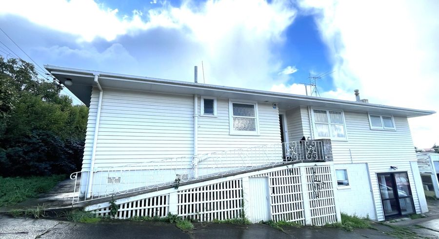  at 100 Oakdale Road, Mount Roskill, Auckland
