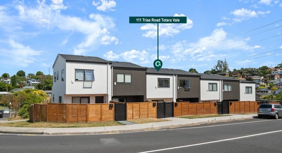  at 111 Trias Road, Totara Vale, Auckland