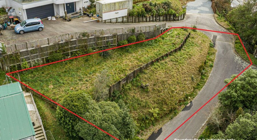  at 101 Redwood Avenue, Tawa, Wellington