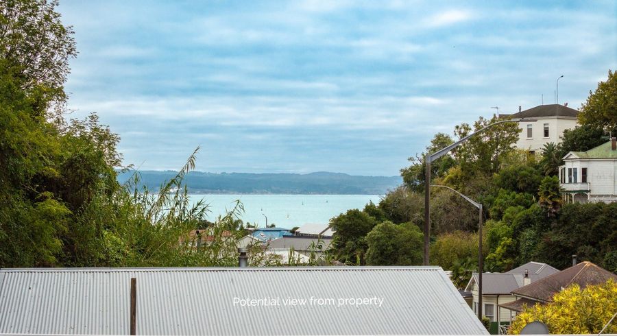  at 118 Shakespeare Road, Bluff Hill, Napier, Hawke's Bay
