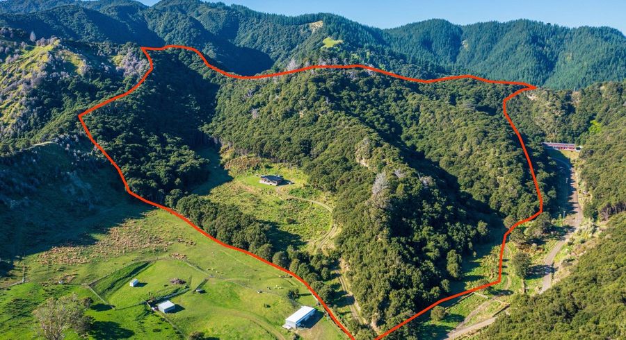  at 403 Matokitoki Valley Road, Gisborne