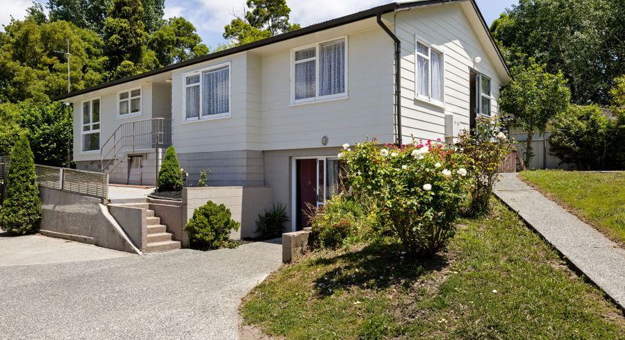  at 17 Amethyst Place, Chartwell, Hamilton