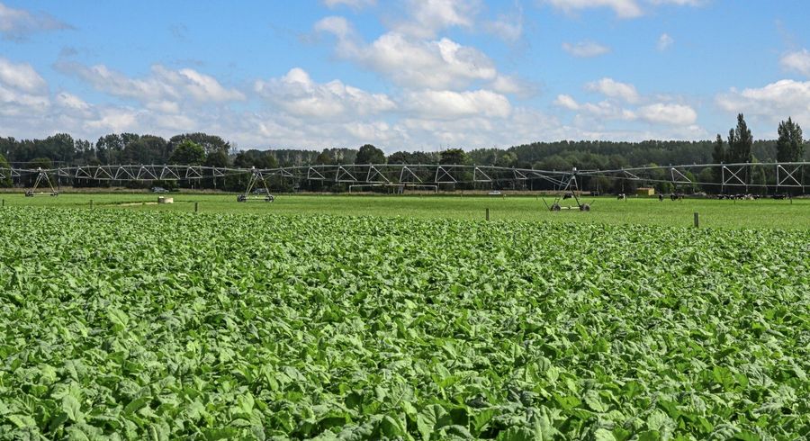  at 77 Arowhenua Station Road, Timaru, Timaru, Canterbury