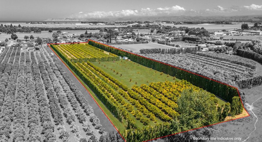  at Kiwi Street, Makaraka , Gisborne, Gisborne