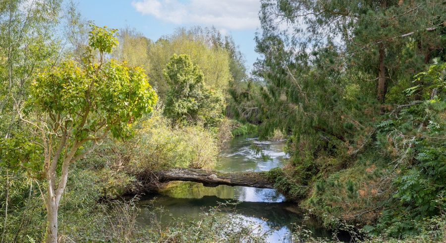  at 192 Waotu Road, Putaruru, South Waikato, Waikato