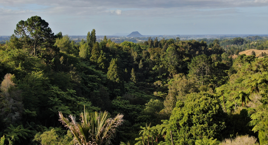  at 497 Joyce Road, Pyes Pa, Tauranga
