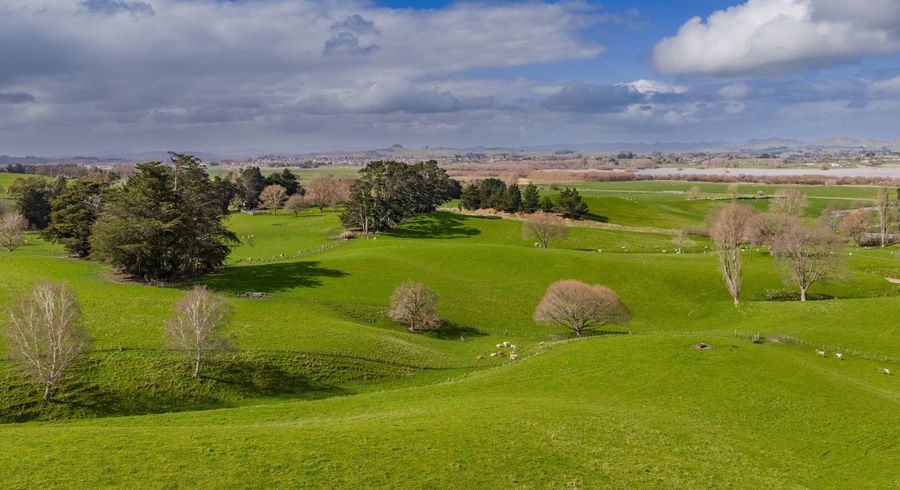  at 352 Hatuma Road, Waipukurau, Central Hawke's Bay, Hawke's Bay