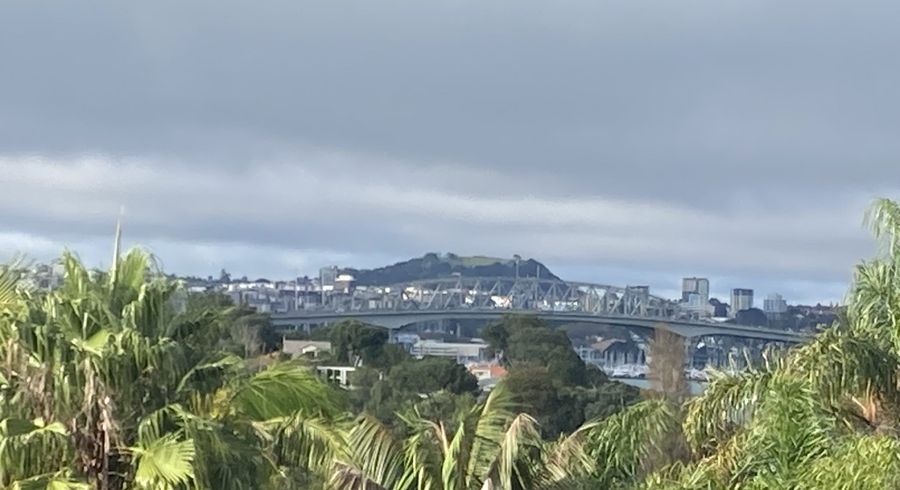  at 14 Bush View Lane, Northcote Point, North Shore City, Auckland