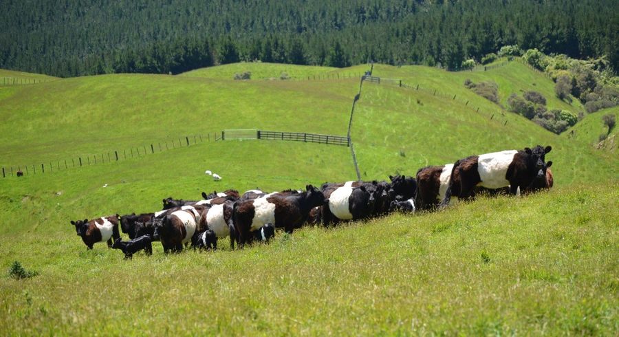  at 492 Moonshine Hill Road, Moonshine Valley, Upper Hutt, Wellington