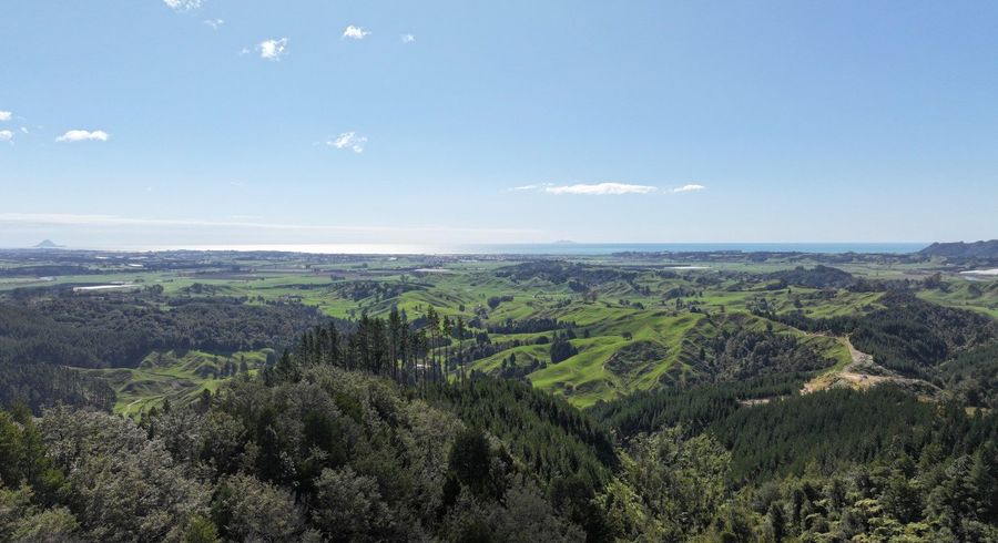  at 0 Waioeka Pa Road, Otara, Opotiki