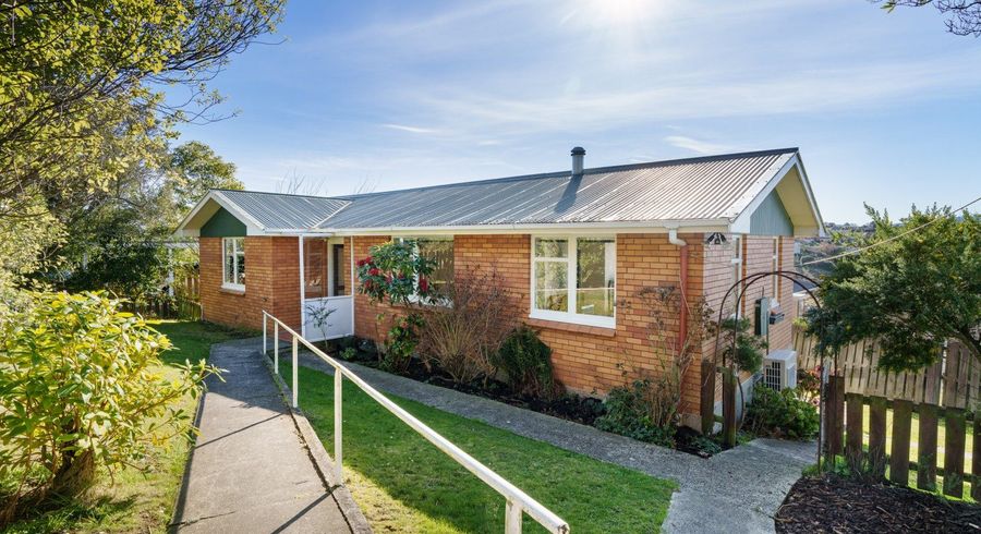  at 130 Mulford Street, Concord, Dunedin