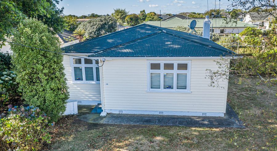  at 199 Bath Street, Levin, Levin