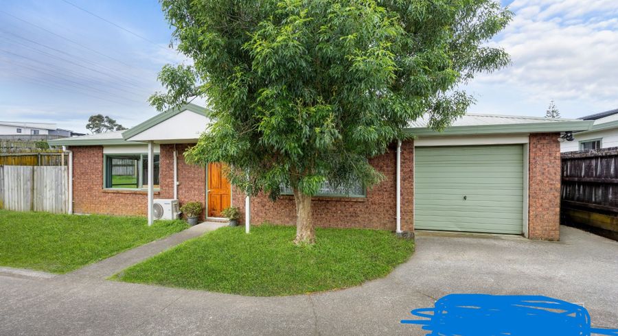  at 25 Leonard road, Mount Wellington, Auckland City, Auckland