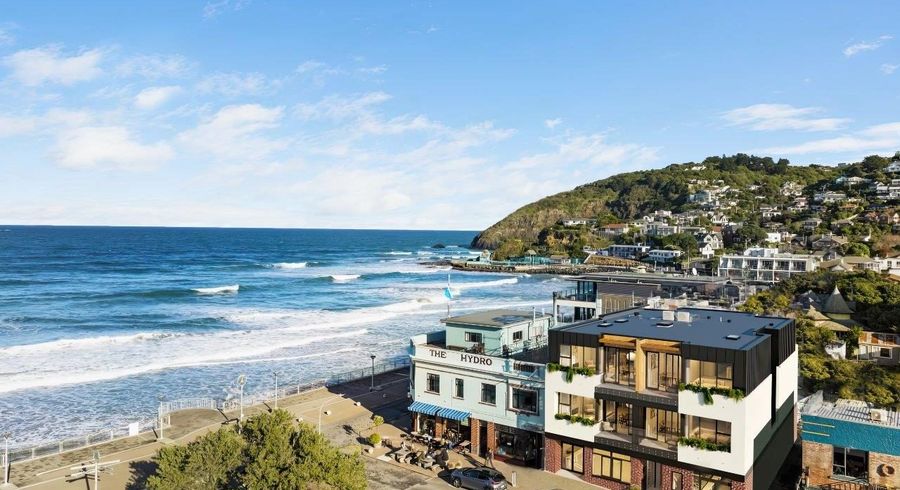  at 246 Forbury Road, Saint Clair, Dunedin, Otago