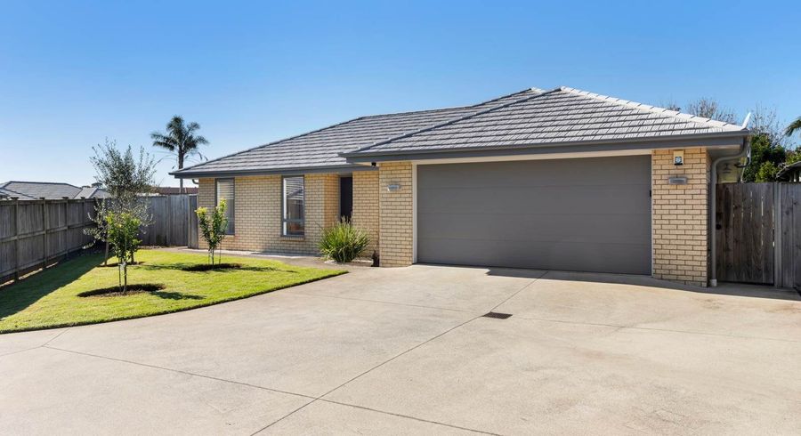  at 19 Glennron Lane, Waiuku, Franklin, Auckland