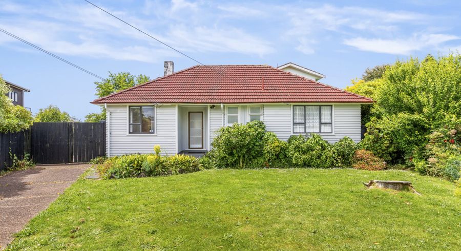  at 17 Howlett Street, Waterview, Auckland