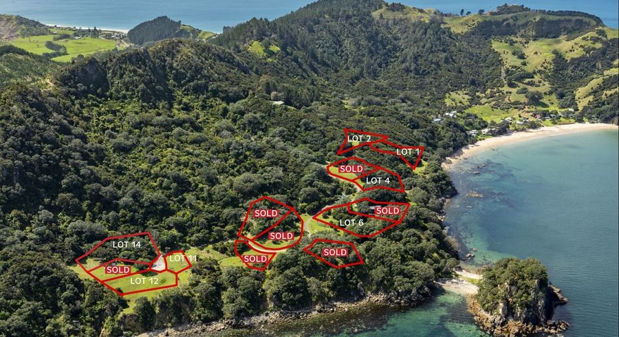  at 216 Matapaua Bay Road, Opito, Thames-Coromandel, Waikato