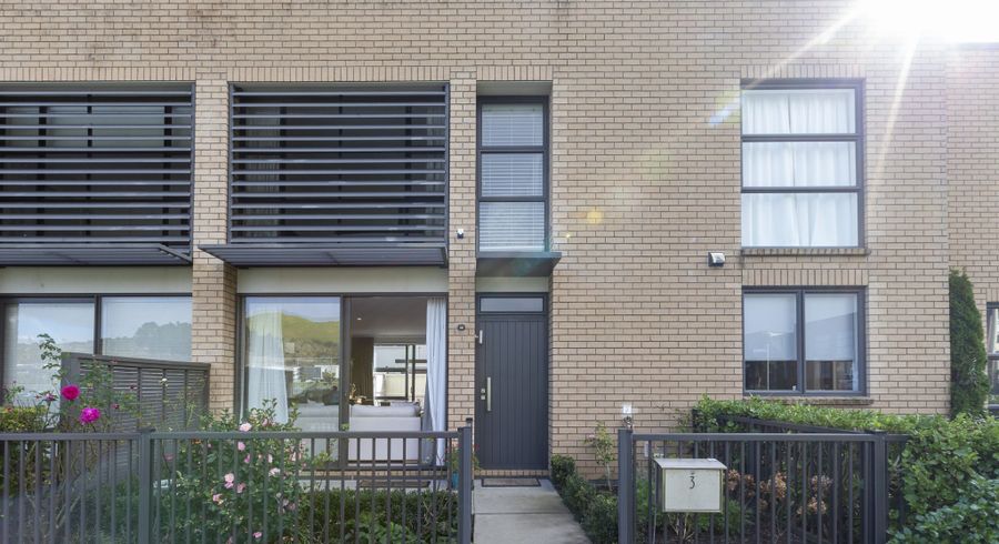  at 3 Guyon Street, Stonefields, Auckland City, Auckland