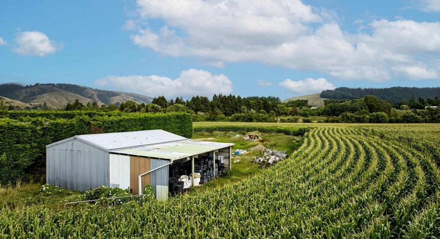 at 1200 State Highway 1, Manakau, Horowhenua, Manawatu / Whanganui