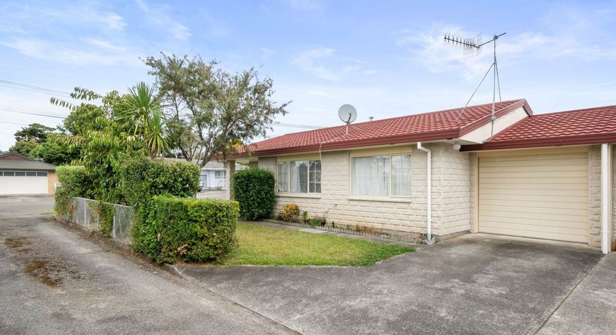  at 65 Winchester Street, Levin, Levin