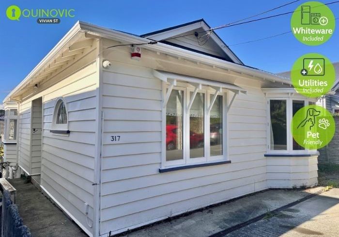  at 317A Adelaide Road, Newtown, Wellington, Wellington