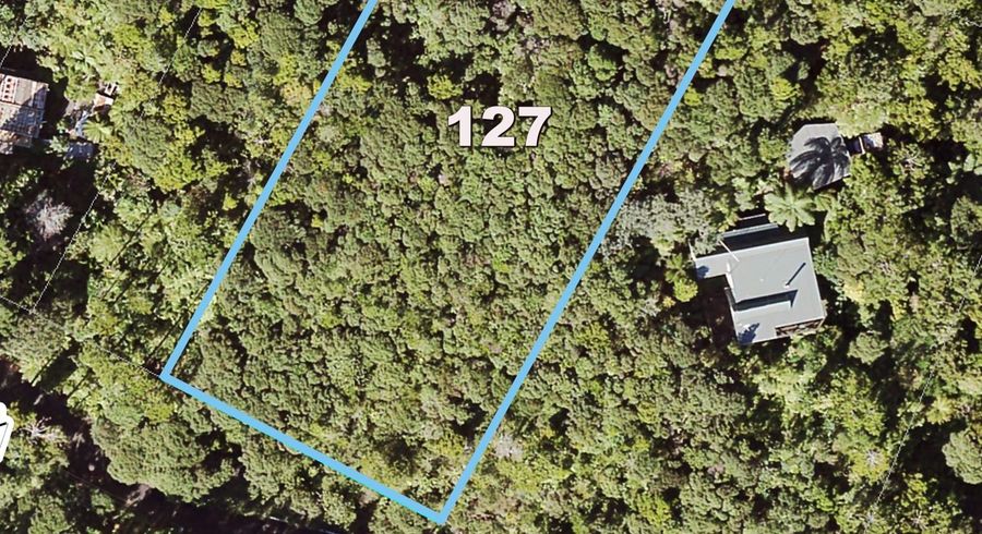  at 127 Lone Kauri Road, Karekare, Auckland