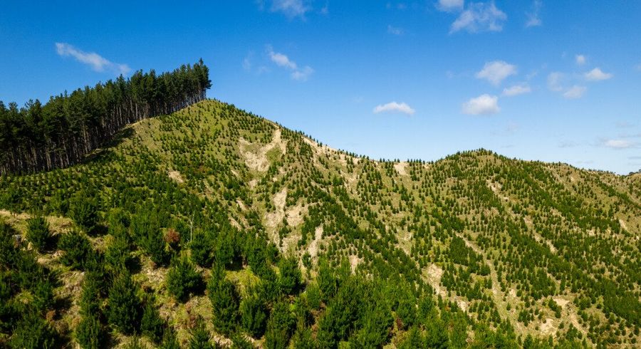  at 0 Bruce Road, Whatatutu, Whatatutu, Gisborne, Gisborne