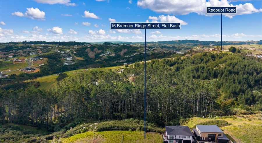  at 16 Bremner Ridge Street, Flat Bush, Manukau City, Auckland