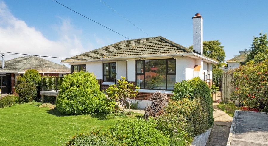  at 429 Taieri Road, Halfway Bush, Dunedin, Otago